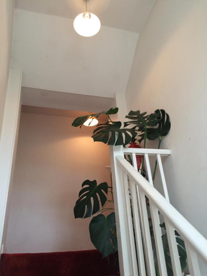 Fern Cottage Dorchester Exterior photo